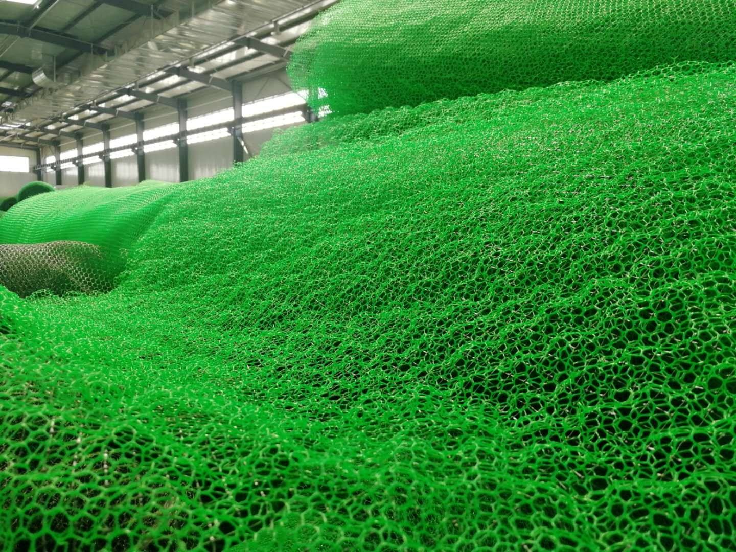 黃石三維植被網 黃石三維土工網墊